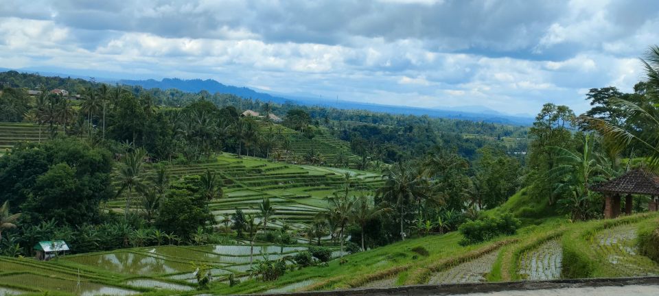 Bali: Ubud Costumize Tour With Private Driver