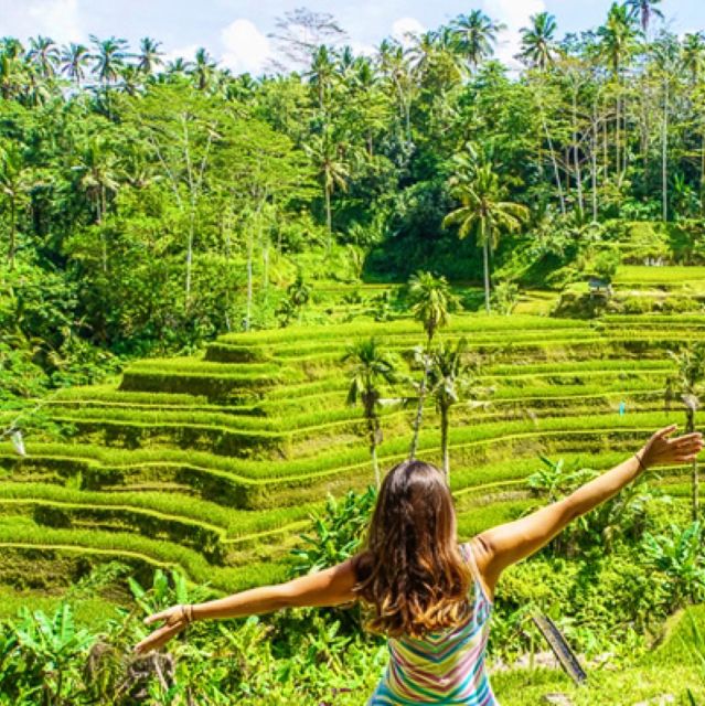 Bali: Ubud Highlights Private Tour With All Entrance Tickets