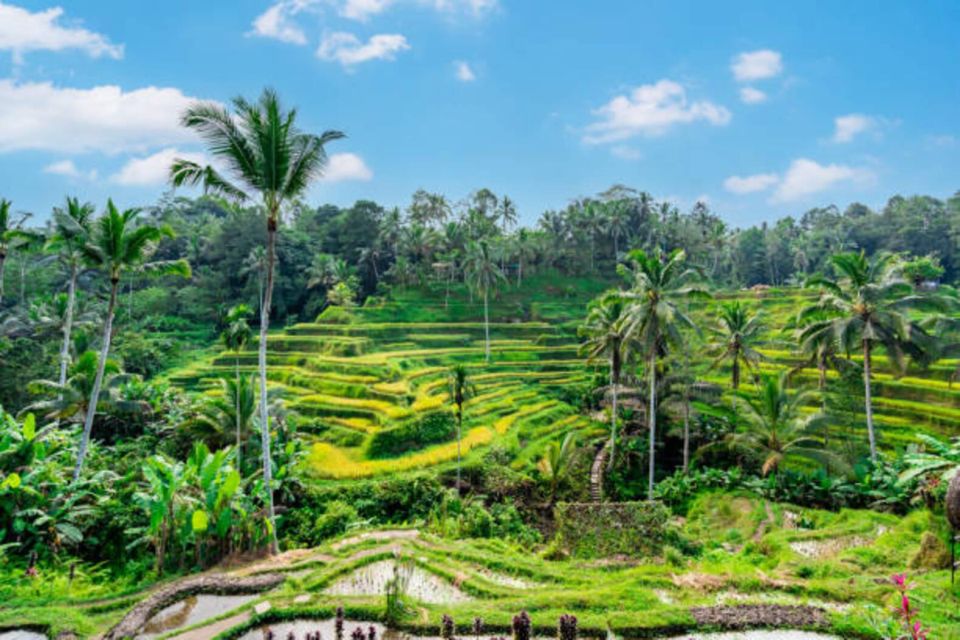 Bali: Ubud Waterfall Tour