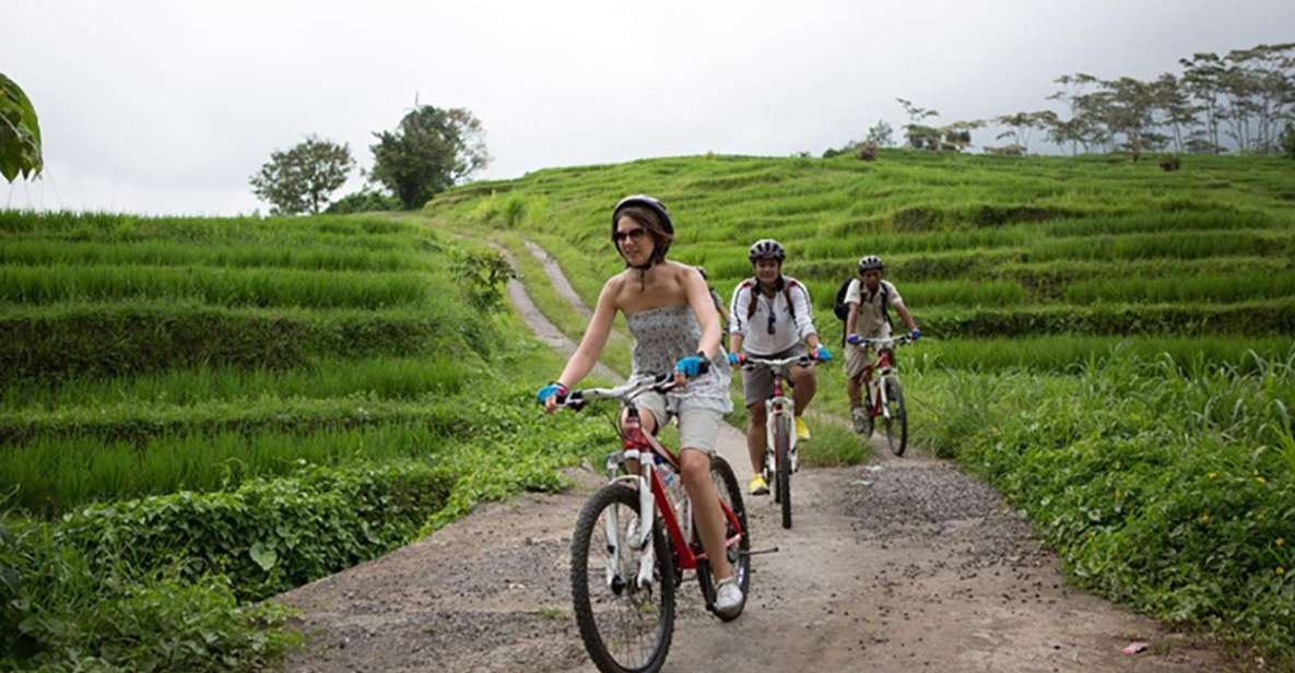 Bali: White Water Rafting & Cycling Tour – All Inclusive