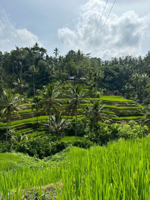 Balinese Spiritual Cleansing by Traditional Method