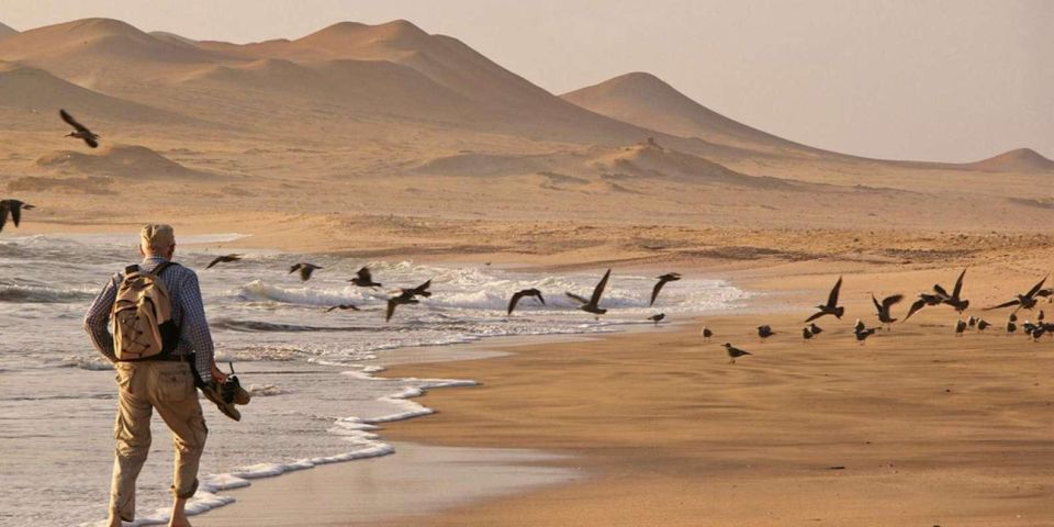 Ballestas Islands and Paracas Reserve – Full Day Escape