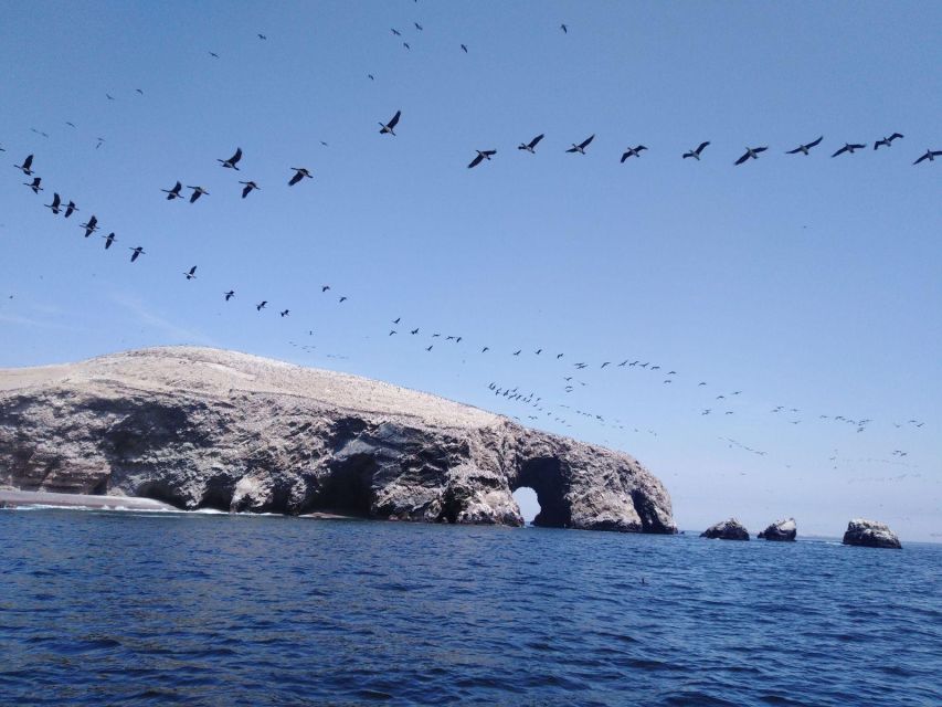 Ballestas Islands Tour - Paracas