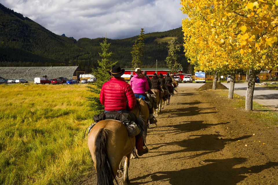 Banff: 2-Day Overnight Backcountry Lodge Trip by Horseback