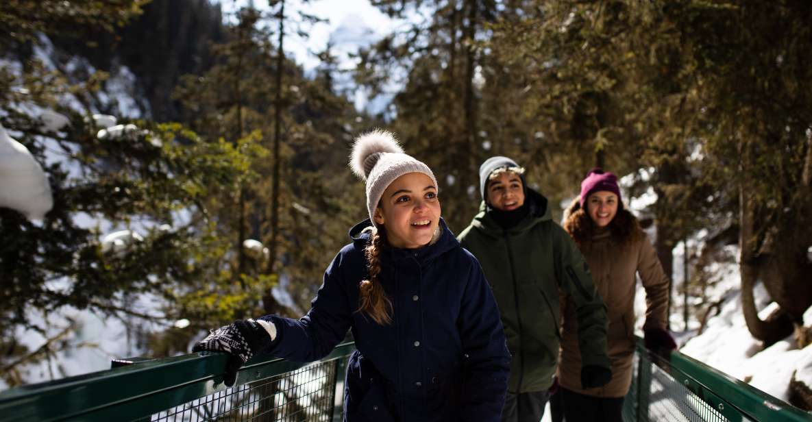 Banff: Johnston Canyon Explorer - Tour Overview