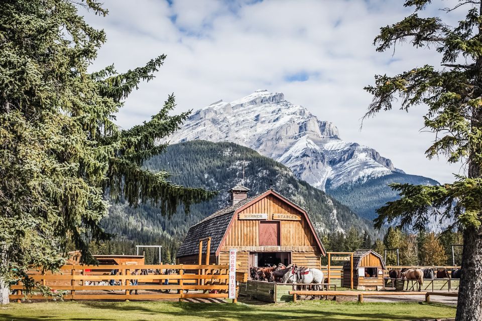 Banff National Park: 1-Hour Bow River Horseback Ride