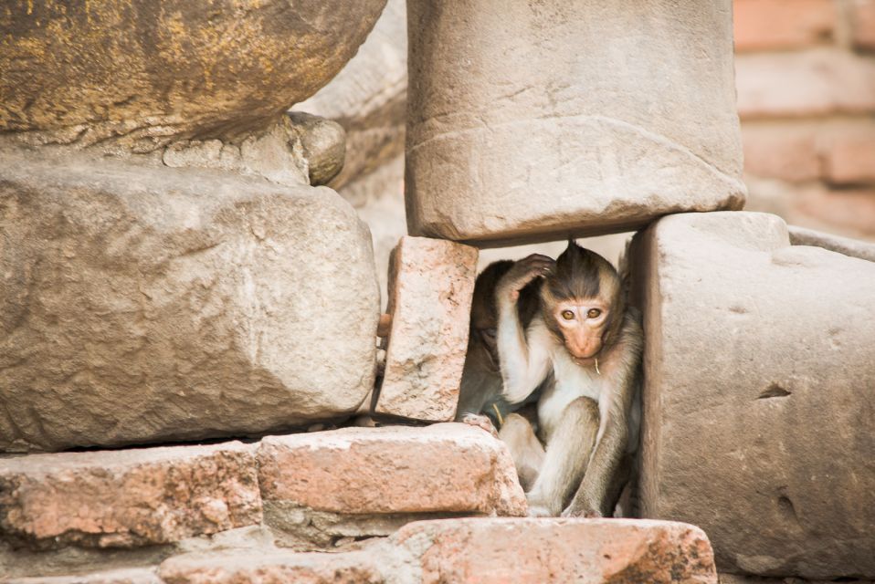 Bangkok: Ayutthaya & Lopburi Monkey Temple Private Day Trip