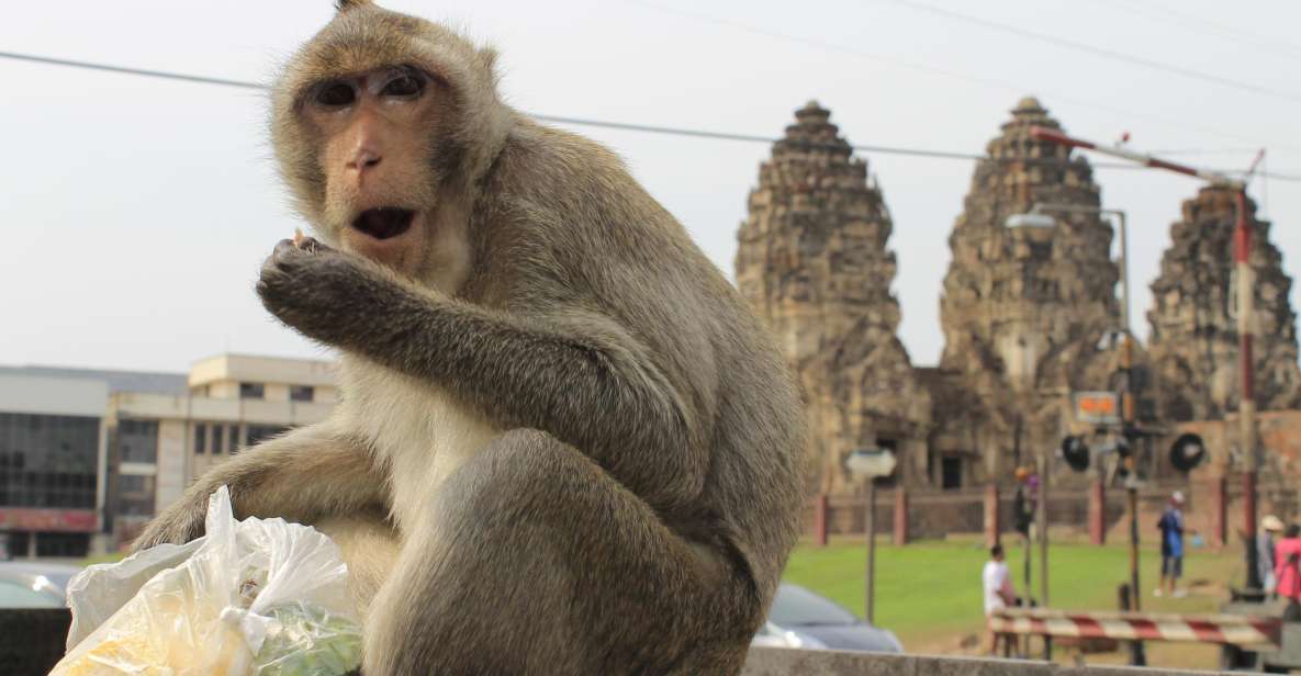 Bangkok: Private Car Hire to Lopburi the Monkey City