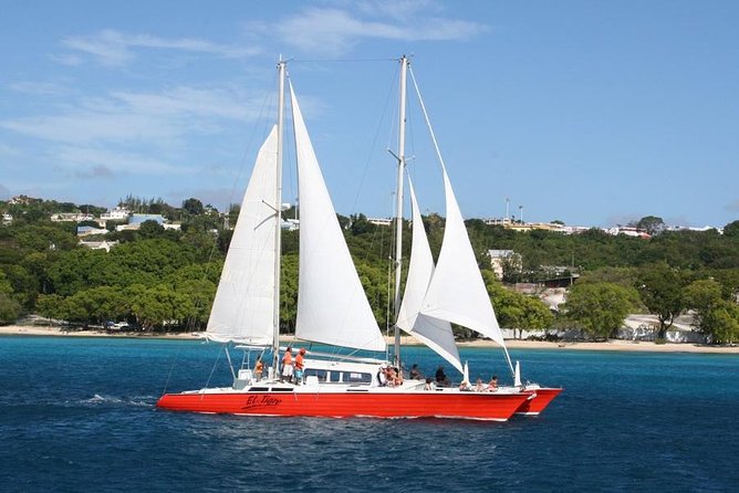 Barbados Catamaran Turtle and Shipwreck Snorkeling Cruise - Snorkeling Activities Offered