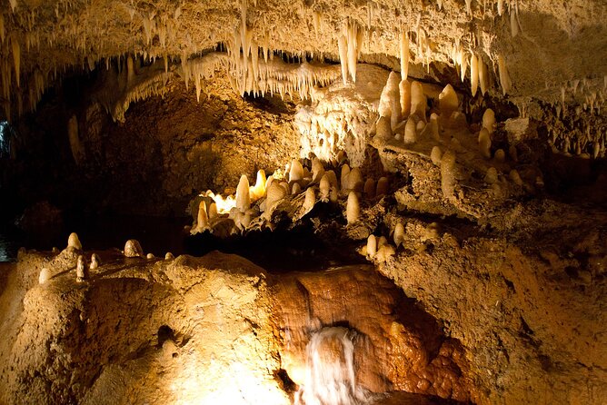 Barbados Shore Excursion: Harrisons Cave Tour