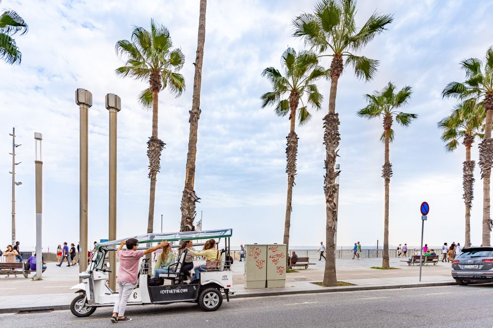 Barcelona: Private City Tour by Eco Tuk Tuk - Tour Overview