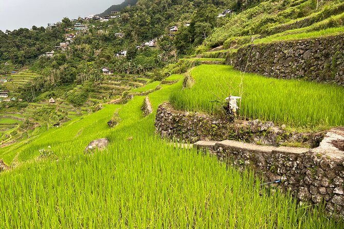 Batad Guided Tour