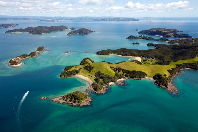 Bay of Islands Cruise & Island Tour – Snorkel, Hike,Swim,Wildlife