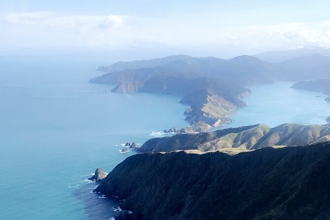 Bay of Many Coves Helicopter Tour With 3-Course Lunch From Wellington - Tour Highlights