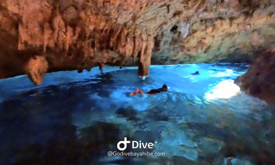 Bayahibe - Cenotes Scuba Diving - Godive Bayahibe - Activity Overview