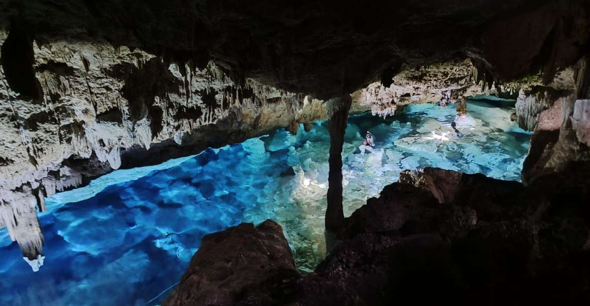 Bayahibe: National Park Jungle Walk & Snorkeling in Cenotes - Activity Overview