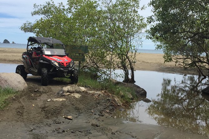 Beach and Mountain Buggy Tour in Guanacaste