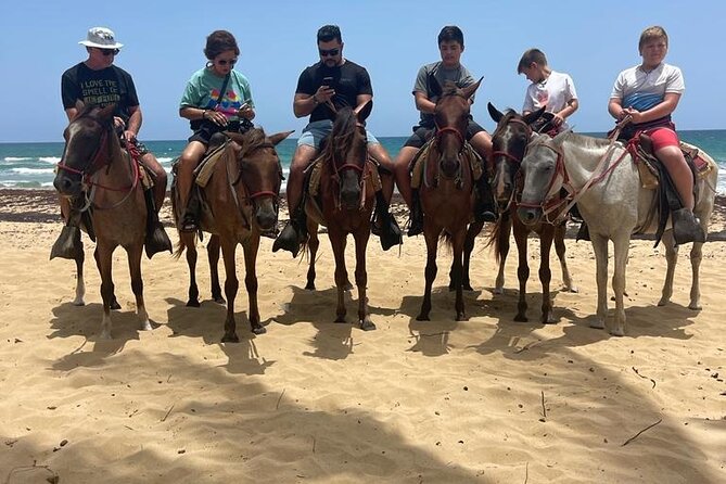 Beach Horseback Ride Tour at Punta Cana - Accessibility Features