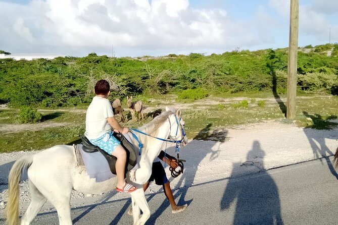 Beach Trail and Swim. Cockburn Town, Grand Turk, Turks and Caicos