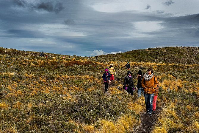 Beagle Channel Navigation With Minitrekking - Tour Overview