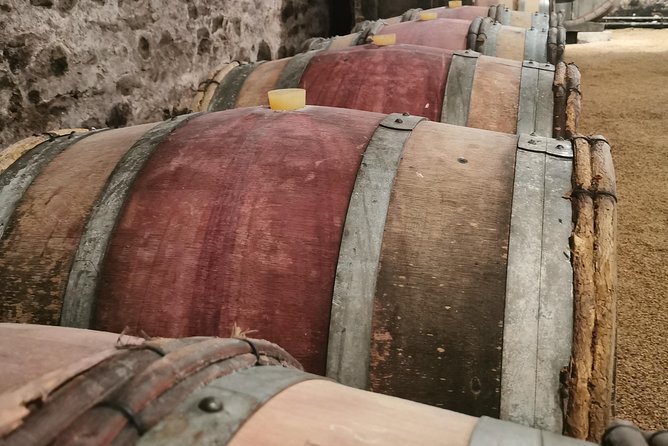 Beaujolais Wine Tasting Day Tour From Lyon