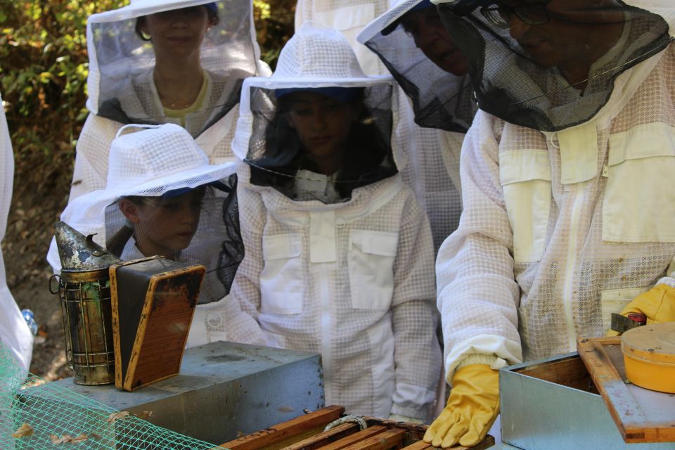 Beekeeping Tour in Amarante With Honey Tasting