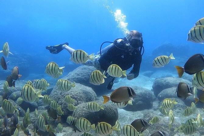 Beginner Scuba Experience With Free Video Package – Honolulu