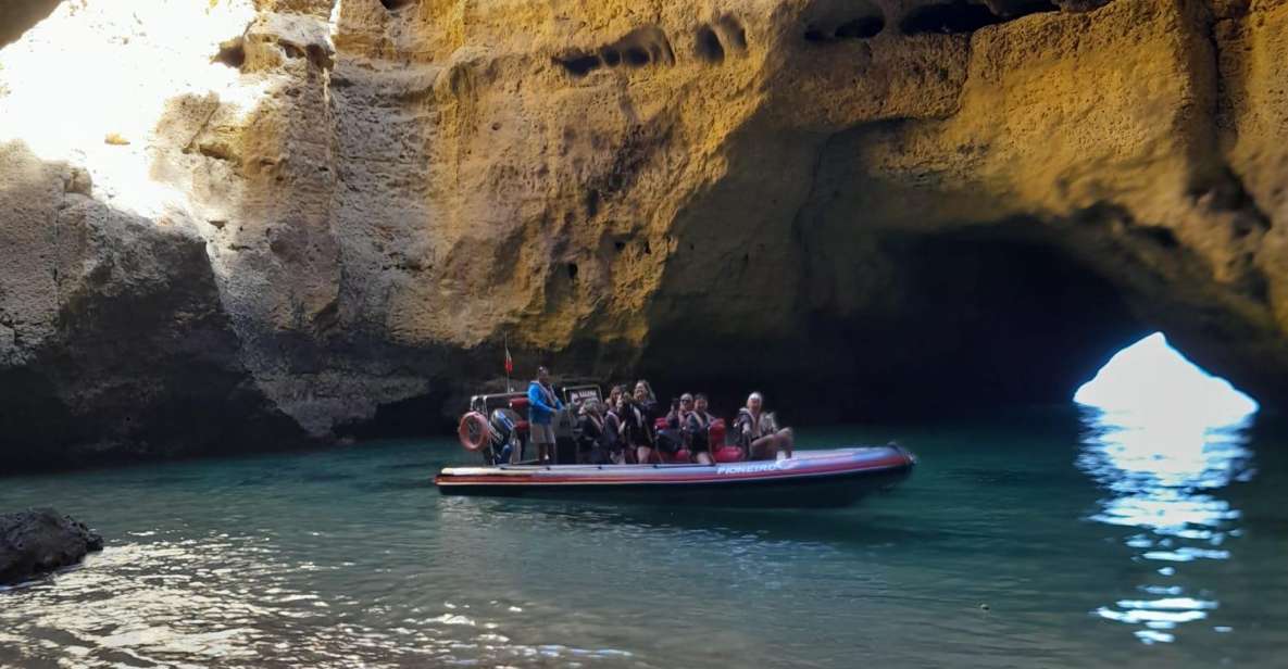 Benagil Tour - Dolphin Watching