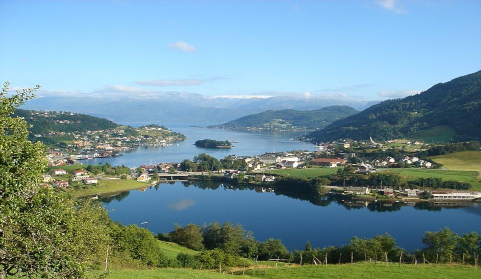 Bergen: Hardanger Fjord Cruise & Vøringsfossen Private Tour