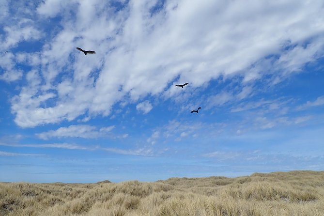 Berthas Beach and Stanley Private Tour