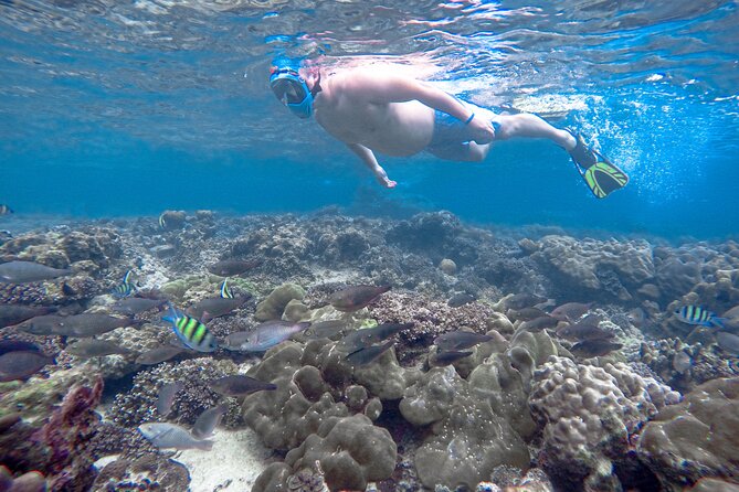 Best of Phi Phi Islands Snorkeling Tour From Phuket