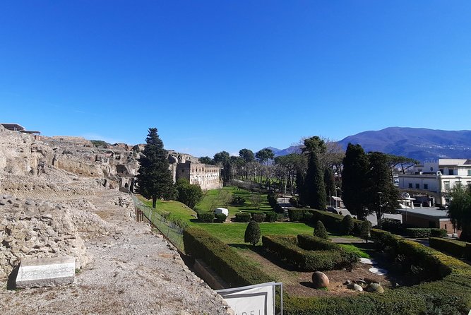 Best of Pompeii – 2 Hour Private Tour With Alex