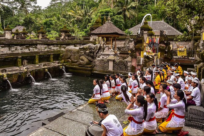 Best of Ubud Tours With Jungle Swing ( All Inclusive )