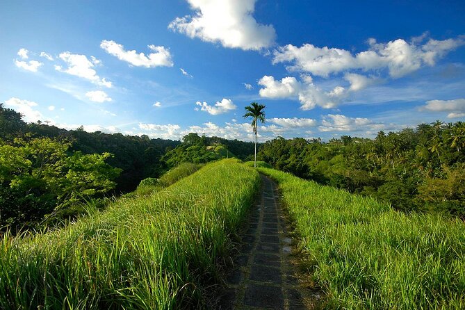 Best of Ubud: Waterfall, Rice Terraces & Monkey Forest