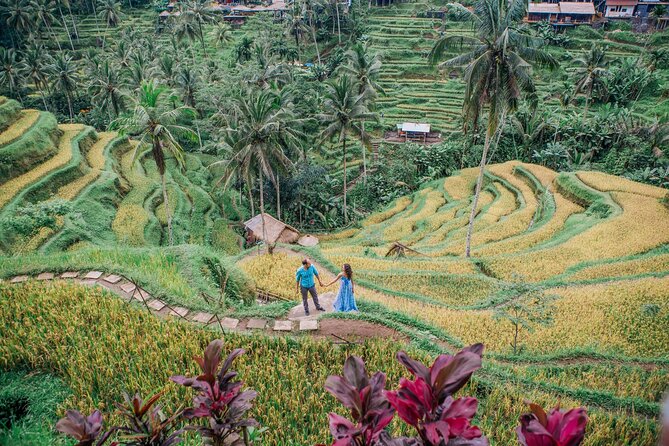 Best of Ubud’s Highlights Full-Day Tour