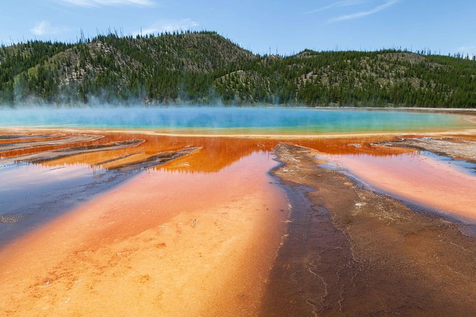 Best of Yellowstone – Guided National Park Safari Tour