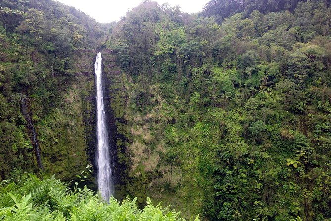 BIG Island BIG Volcano Adventure From Kona: Small Group