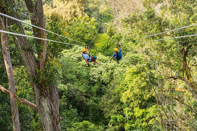 Big Island Kohala Zip and Dip Tour From Kona