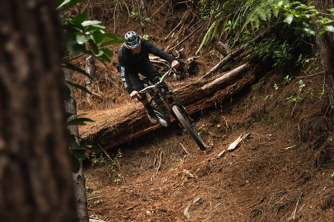 Bike Hire at the Waitangi Mountain Bike Park