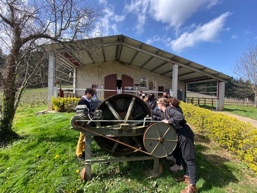 Bilbao: Guided Txacoli Wine Tasting