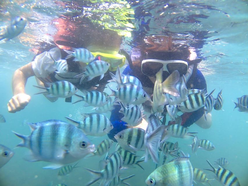 Bintan Snorkeling - About the Activity