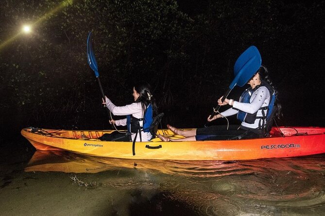 Bio Bay Kayak Tour in Fajardo