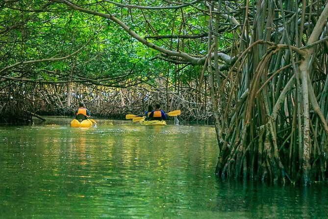 Bioluminescent Bay Night Kayak Experience