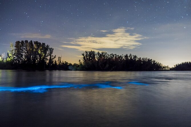 Bioluminescent Clear Kayak Tours in Titusville