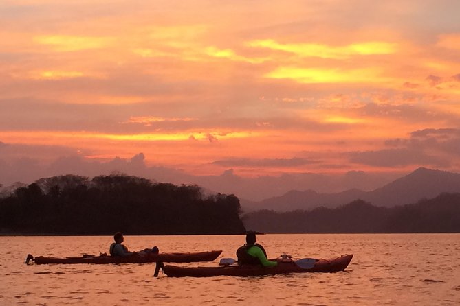 Bioluminescent Kayak Tour - Tour Highlights and Features