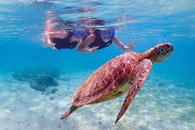 Bloo Lagoon Snorkeling East Bali Includes Transportation & Lunch