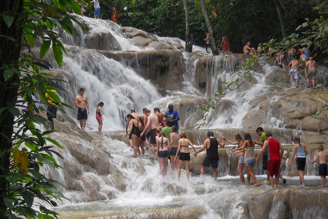 Blue Hole and Dunn’S River Falls Tour With Lunch and Cocktails at Reggae Hill