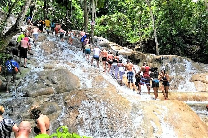 Blue Hole, Secret Falls, and Dunns River Falls Combo Day-Trip