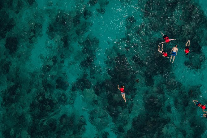 Boat and Snorkeling in West End (Blue Channel, The Aquarium, Turtle Crossing) - Tour Inclusions and Logistics