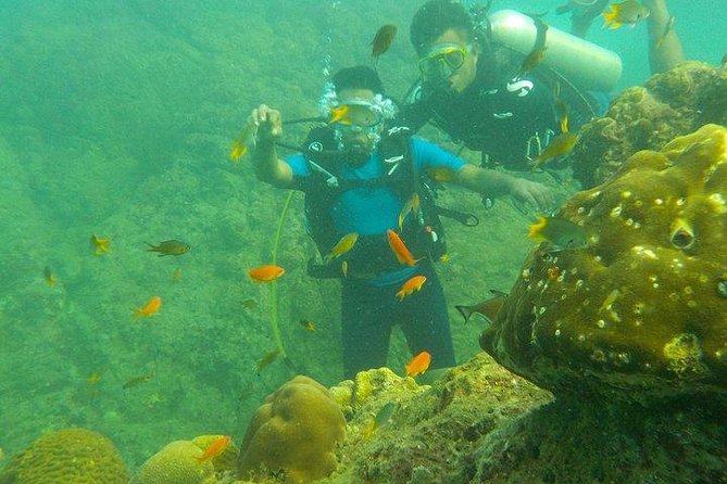 Boat Scuba Diving at Neil Island